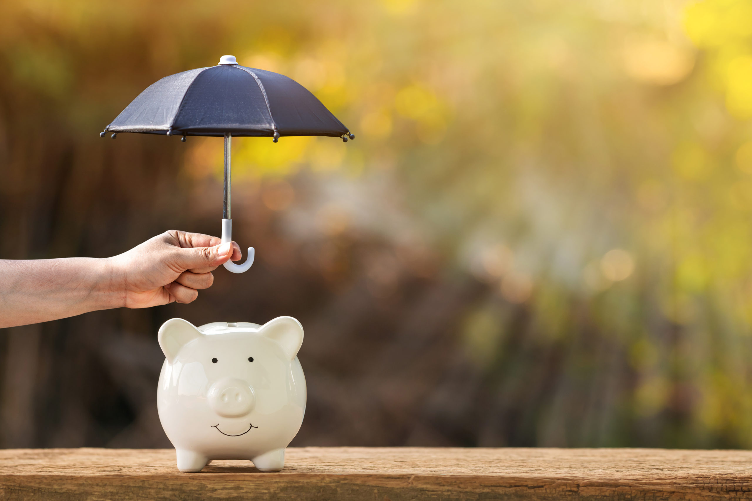 your financial plan