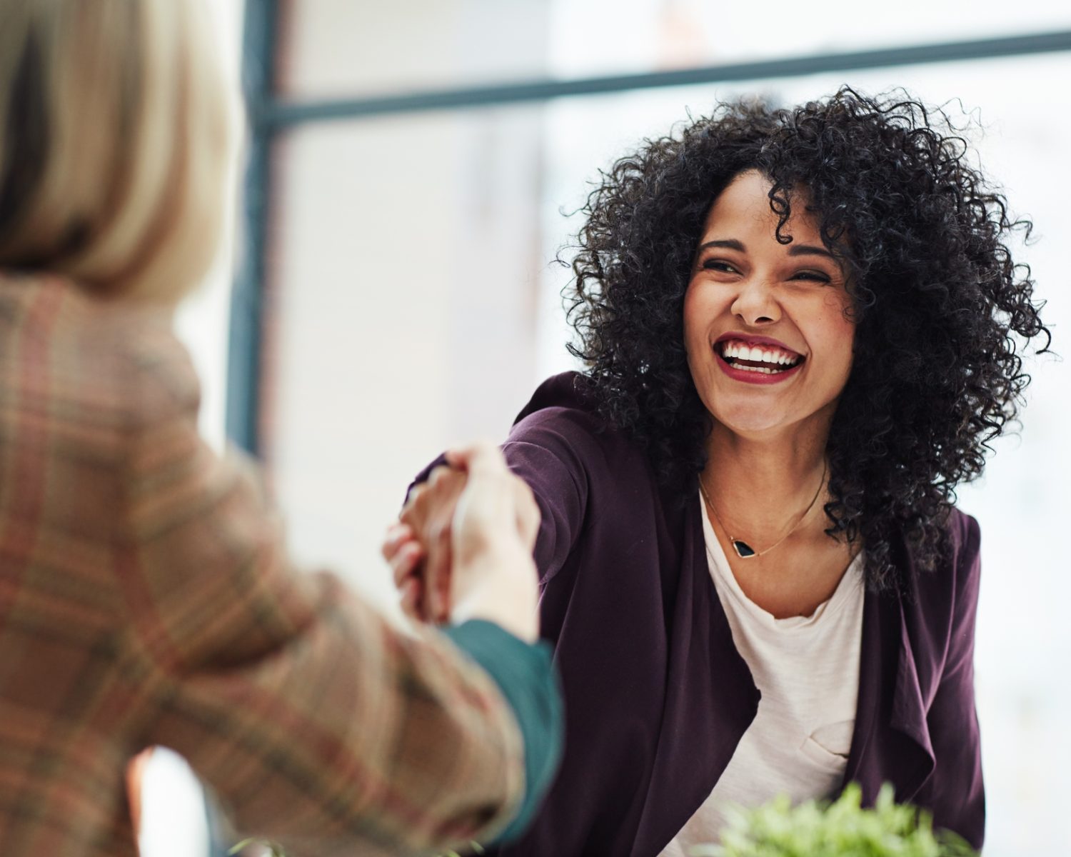 Handshake,With,A,Happy,,Confident,And,Excited,Business,Woman,Or financial planning process