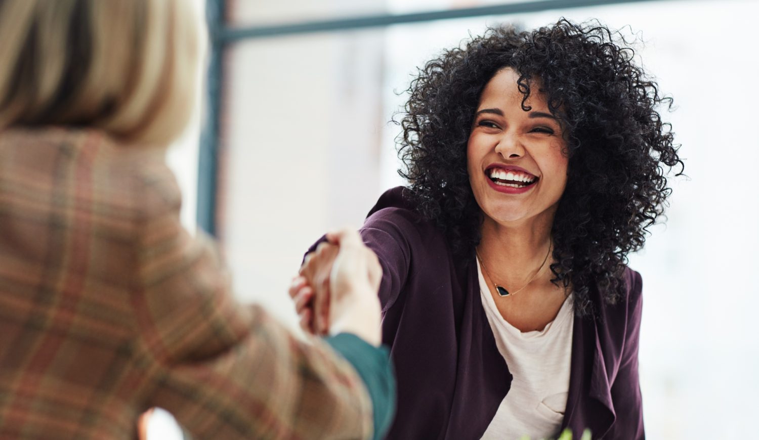 Handshake,With,A,Happy,,Confident,And,Excited,Business,Woman,Or financial planning process